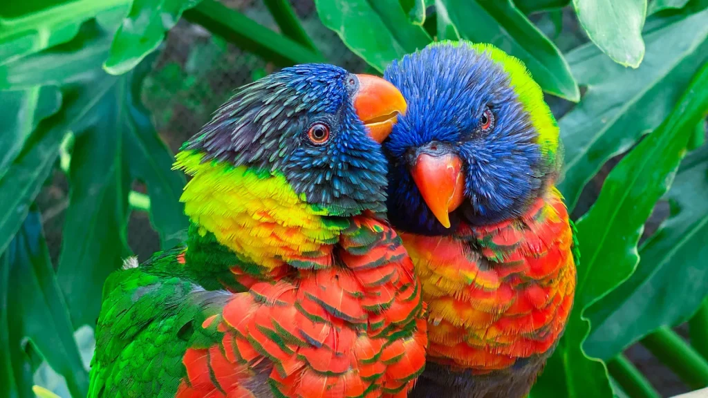 Dans les coulisses de la ferme aux papillons : une expérience immersive à la rencontre des oiseaux et papillons tropicaux !