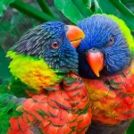 Dans les coulisses de la ferme aux papillons : une expérience immersive à la rencontre des oiseaux et papillons tropicaux !