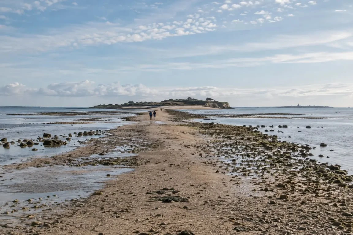 Sortie gratuite Charente-Maritime vers l'île Madame à marée basse