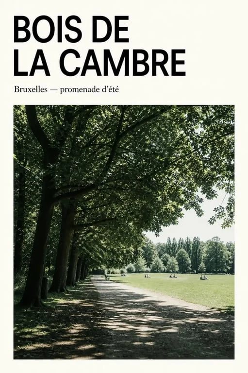 Que faire à Bruxelles cet été : promenade au Bois de la Cambre et pause au vert
